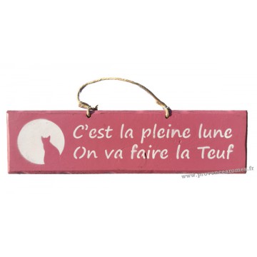 Plaque en bois " C'est pleine lune on va faire la teuf " déco Chat fond Rose