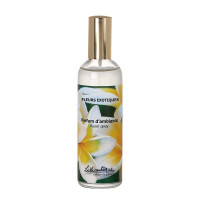 Parfum d'ambiance Fleurs Exotiques Lothantique