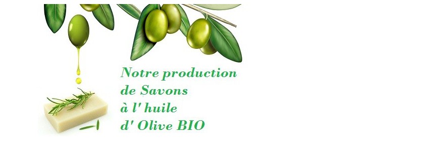 Savons de Provence à l'huile d'olive Bio